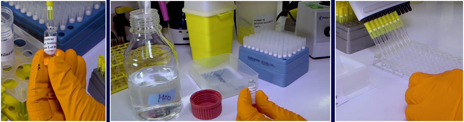 Expedite Your Research Outcomes With ELISA Video Protocols
